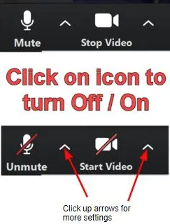 zoom mic and camera.PNG